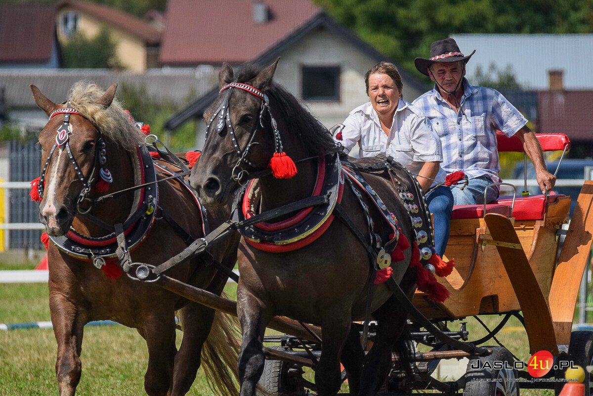 Galicyjskie Lato z Koniem - Bieździedza 2024