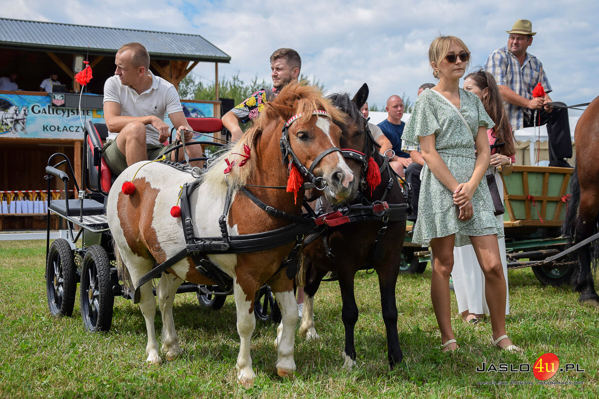 Galicyjskie Lato z Koniem - Bieździedza 2024