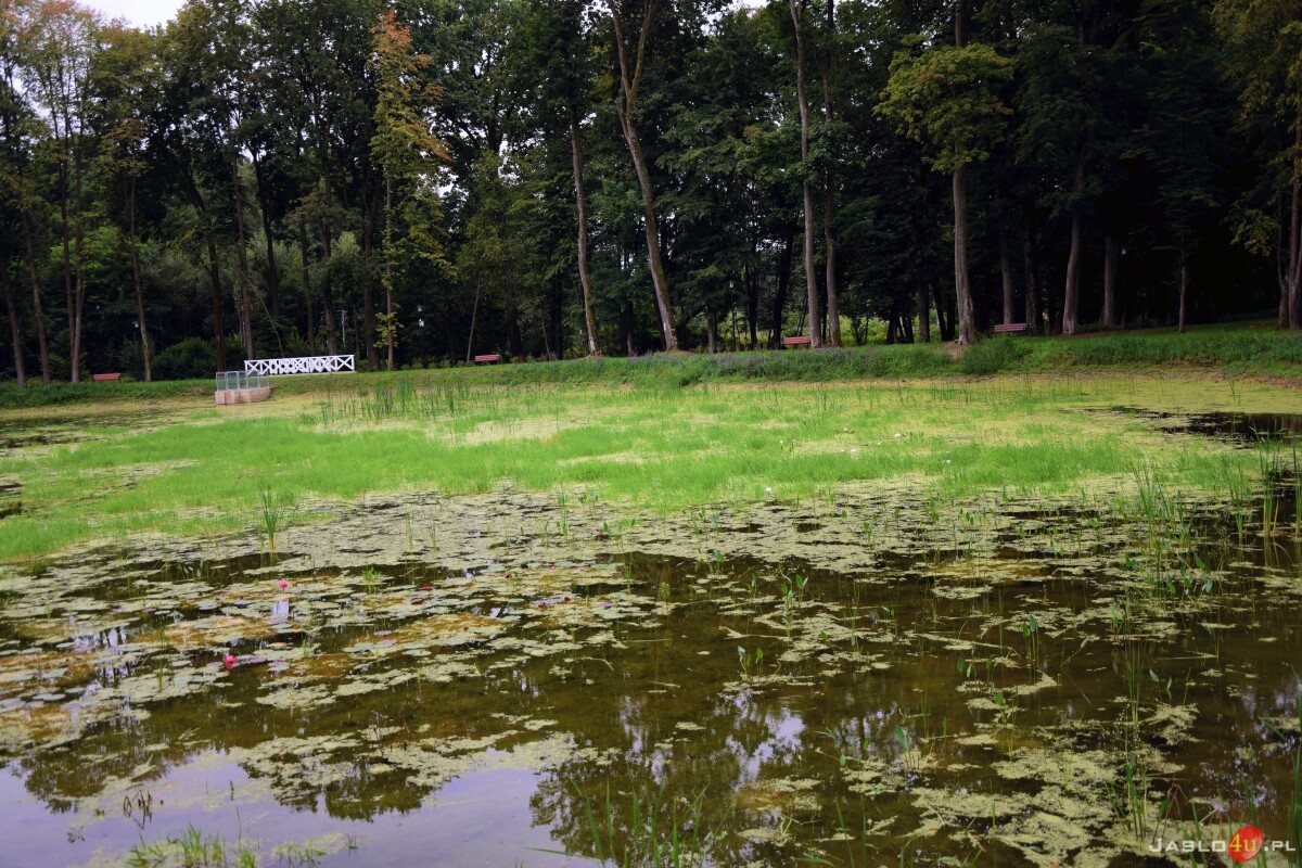 Park Turystyki i Kultury w Skołyszynie