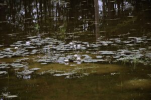 Park Turystyki i Kultury w Skołyszynie