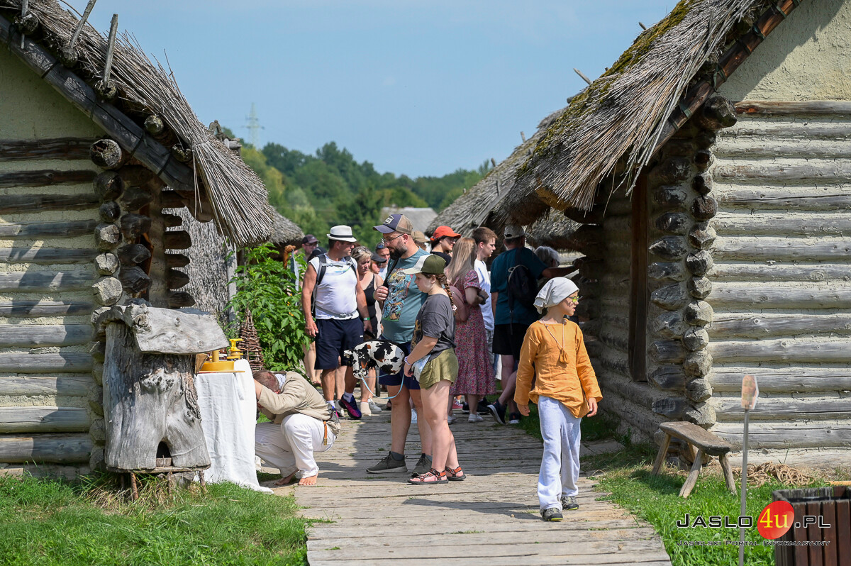 XII. Festiwal Archeologiczny Dwa Oblicza w Karpackiej Troi (sobota)