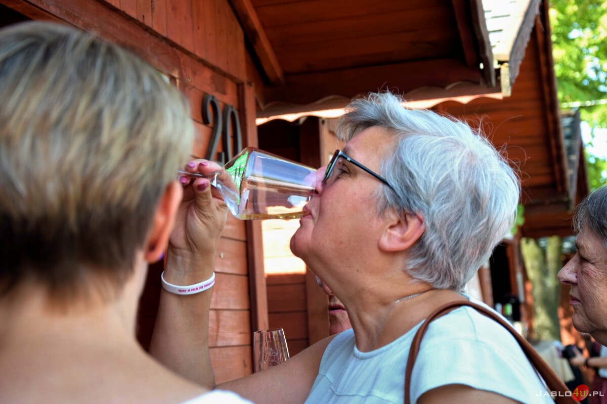 XVIII Międzynarodowe Dni Wina i Festiwal Karpackiego Sera - cz. 1