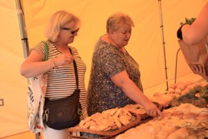 XVIII Międzynarodowe Dni Wina i Festiwal Karpackiego Sera - cz. 1
