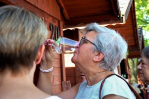 XVIII Międzynarodowe Dni Wina i Festiwal Karpackiego Sera - cz. 1