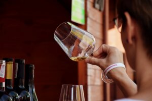 XVIII Międzynarodowe Dni Wina i Festiwal Karpackiego Sera - cz. 1