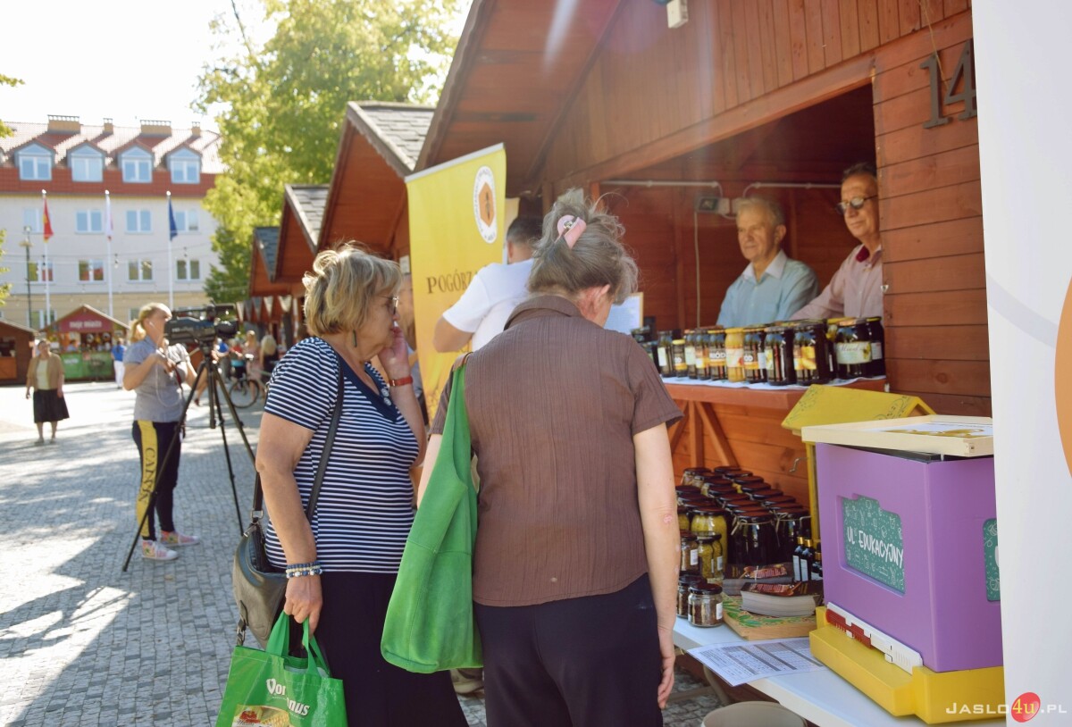 Festiwal Aktywności Społecznej w Jaśle
