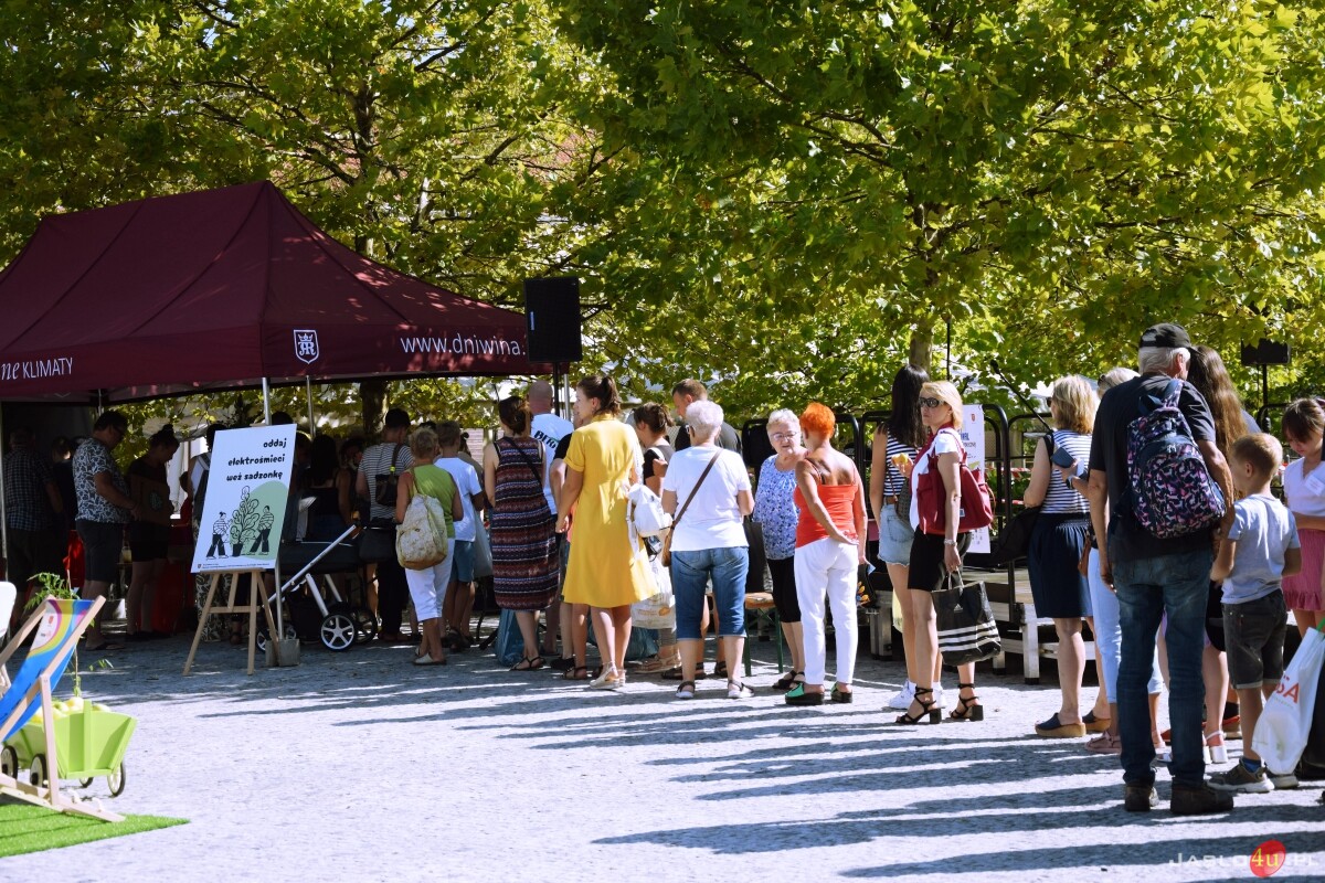 Festiwal Aktywności Społecznej w Jaśle