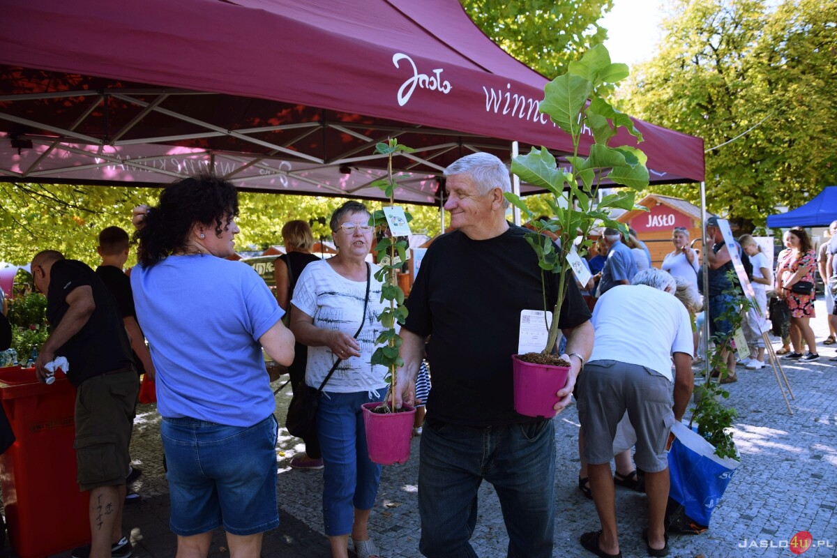 Festiwal Aktywności Społecznej w Jaśle