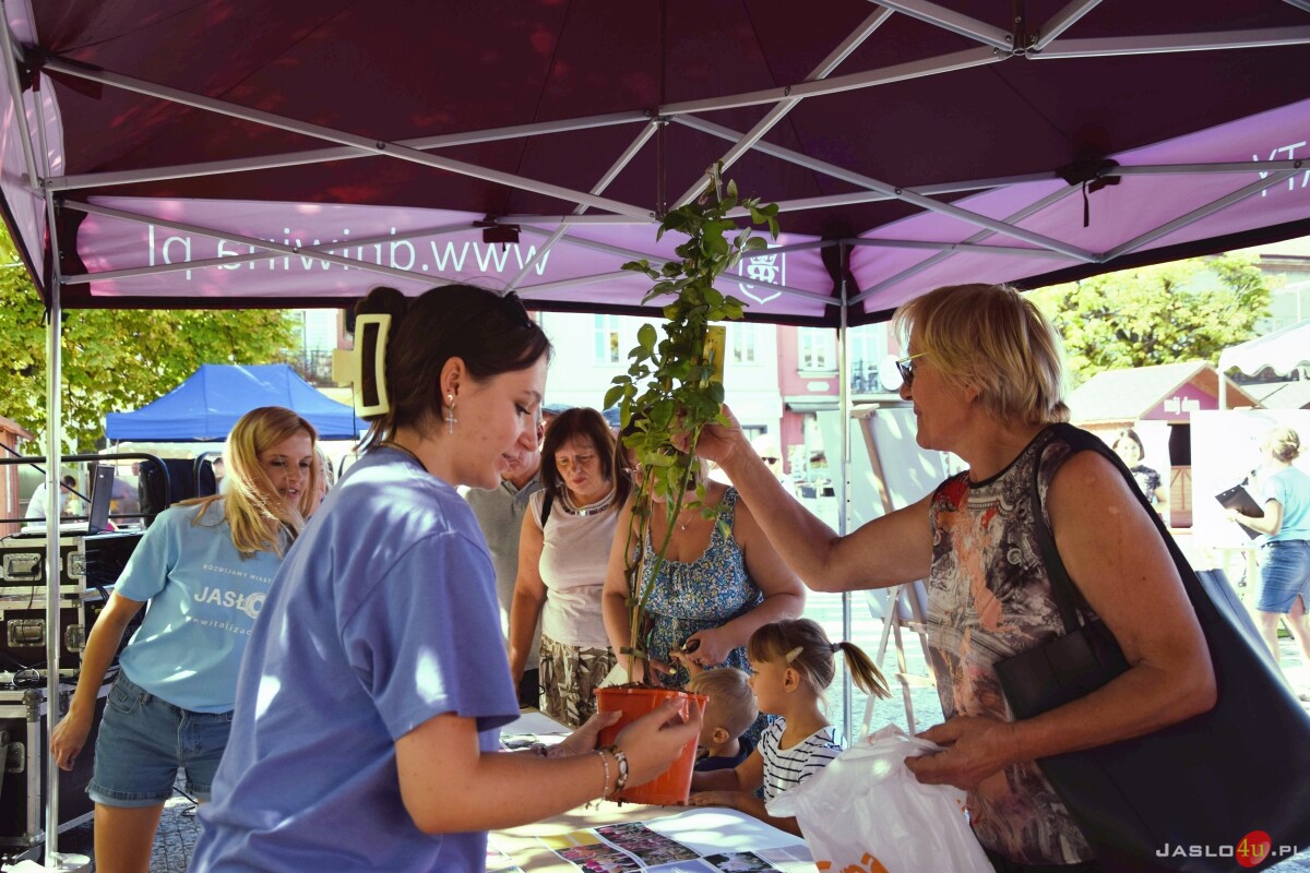 Festiwal Aktywności Społecznej w Jaśle