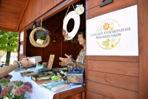 Festiwal Aktywności Społecznej w Jaśle