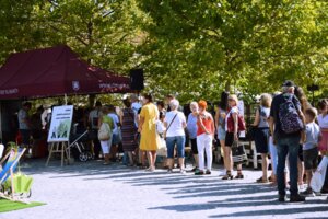 Festiwal Aktywności Społecznej w Jaśle