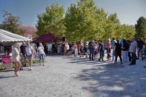 Festiwal Aktywności Społecznej w Jaśle