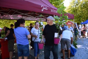 Festiwal Aktywności Społecznej w Jaśle