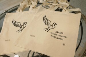 Piknik historyczny i koncert  w wykonaniu Prywatnej Szkoły Muzycznej II stopnia w Jaśle