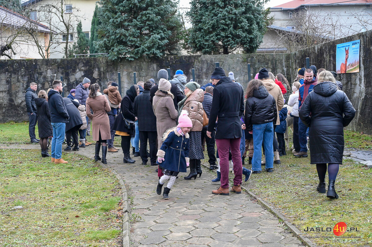 "Żywa szopka" 2024 w Jaśle
