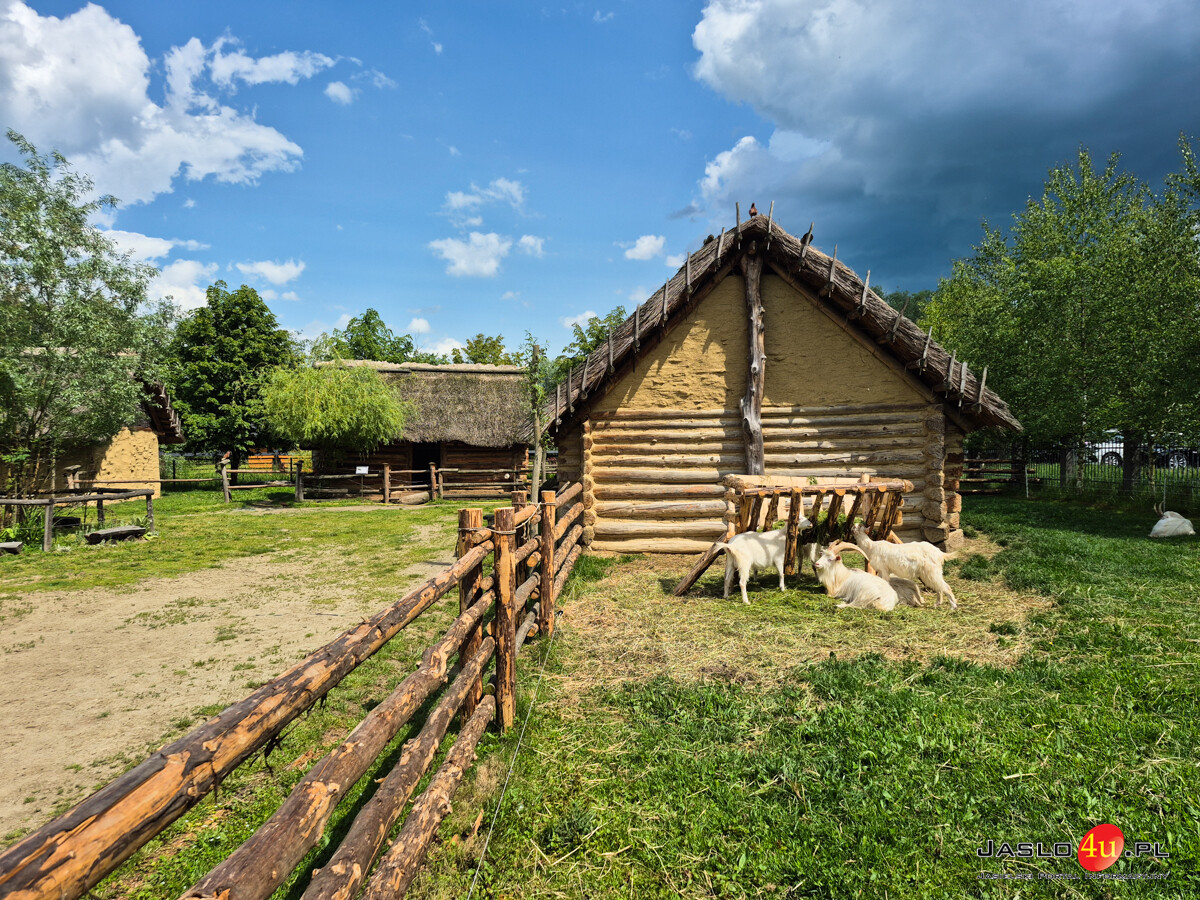 Dzień Dziecka w Karpackiej Troi