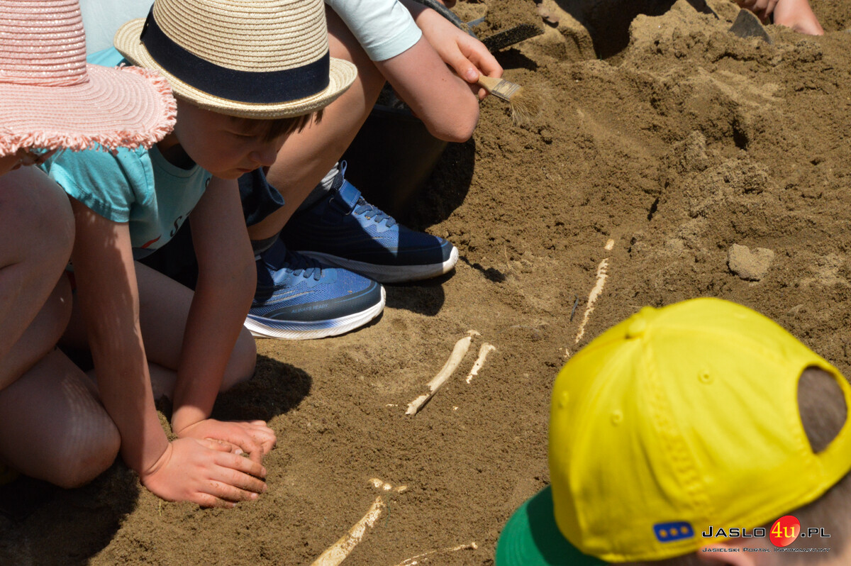Europejskie Dni Archeologii w Karpackiej Troi