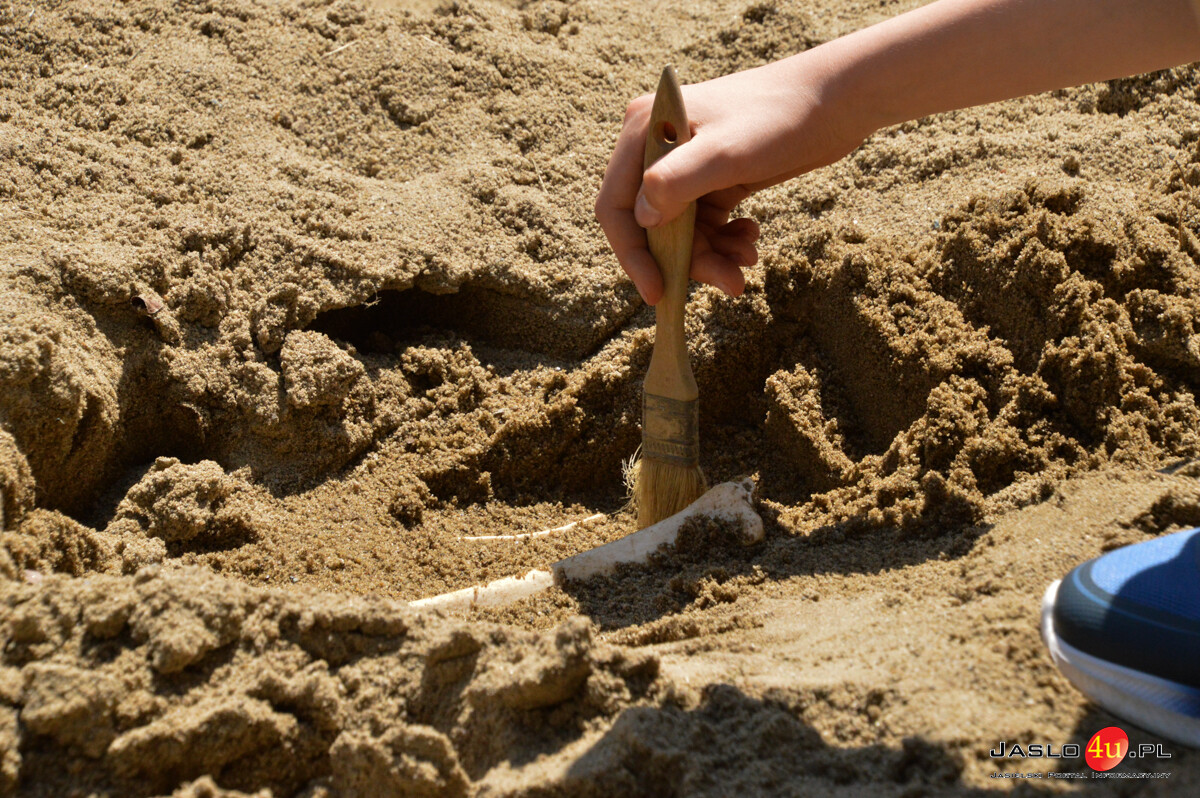 Europejskie Dni Archeologii w Karpackiej Troi