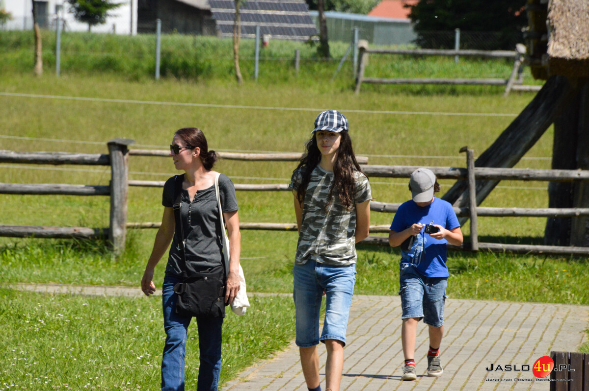 Europejskie Dni Archeologii w Karpackiej Troi