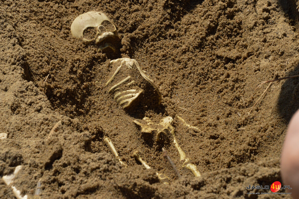 Europejskie Dni Archeologii w Karpackiej Troi