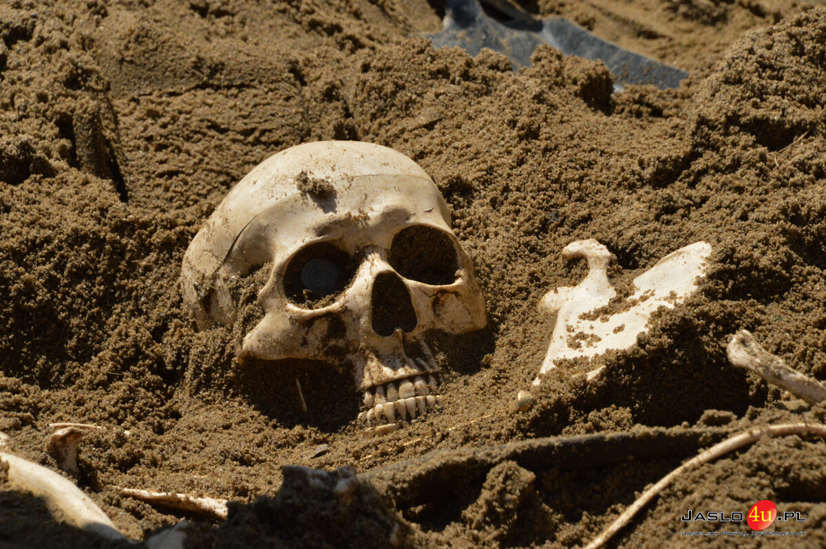 Europejskie Dni Archeologii w Karpackiej Troi