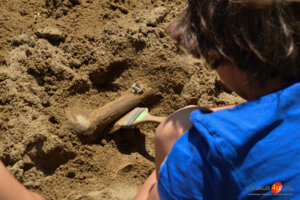 Europejskie Dni Archeologii w Karpackiej Troi