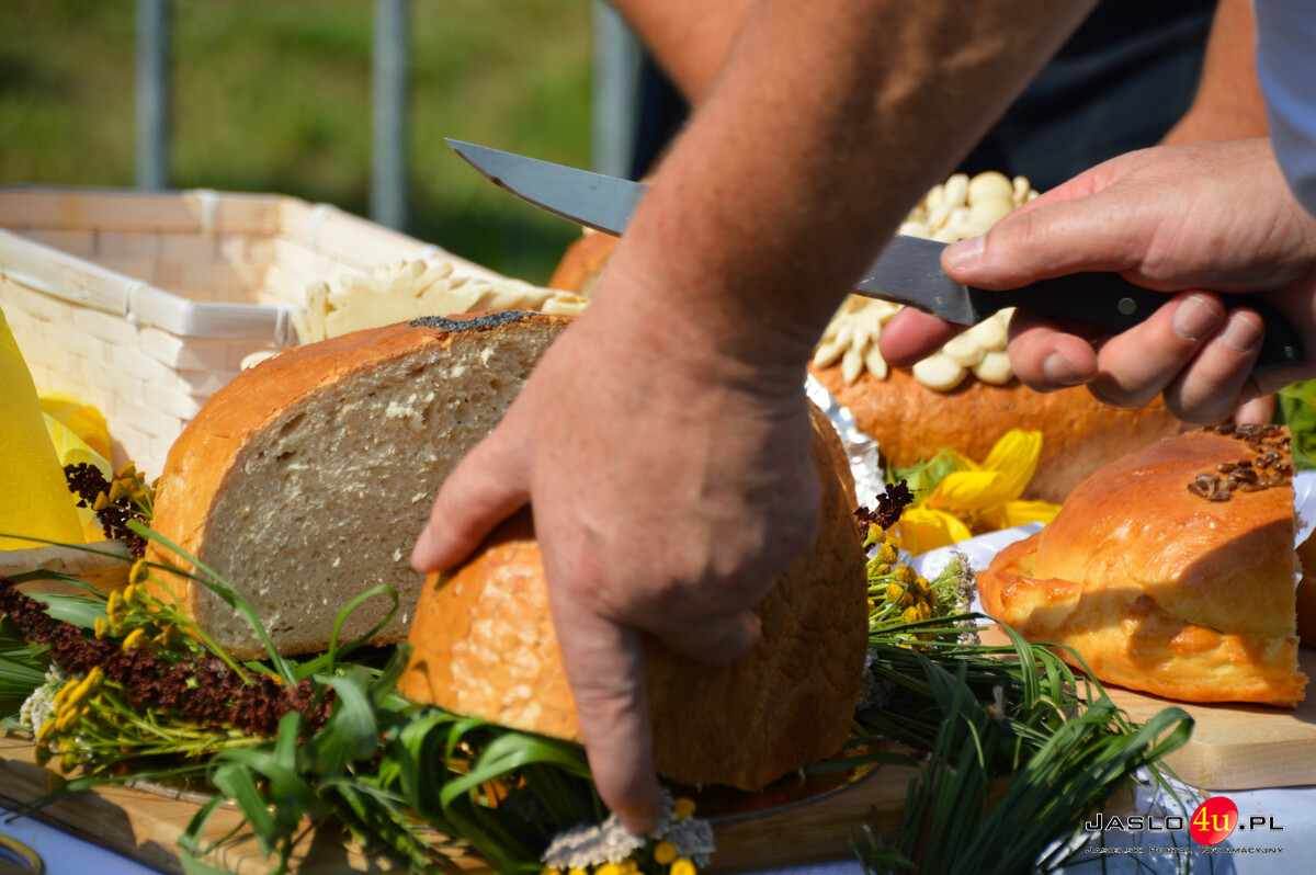 Dożynki Gminne Kołaczyce 2025