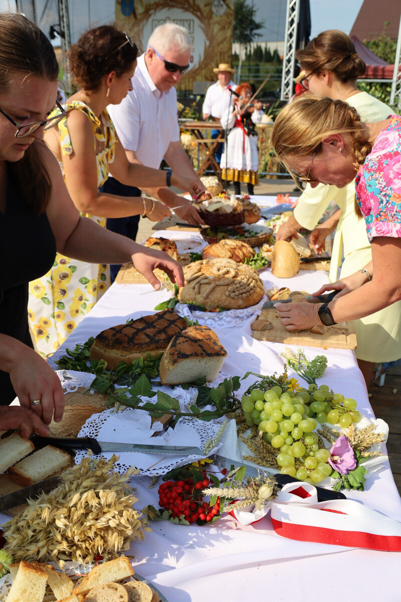 Dożynki Gminy Jasło 2025