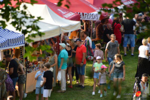 XV Festiwal Smaków Regionalnych „Pierogi” w Tarnowcu - ENEJ