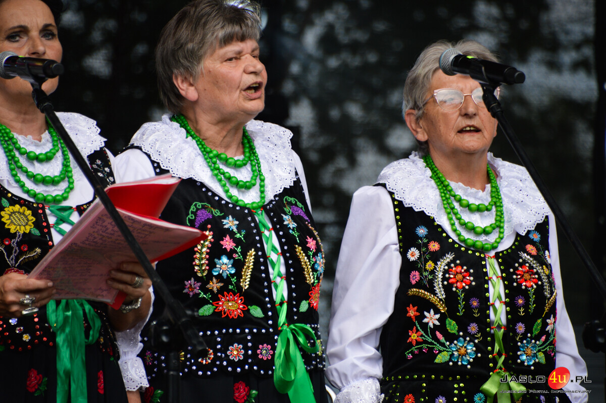 XV Festiwal Smaków Regionalnych - Tarnowiec - Pierogi 2025