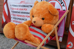 Festiwal Aktywności Społecznej Jasło 2025