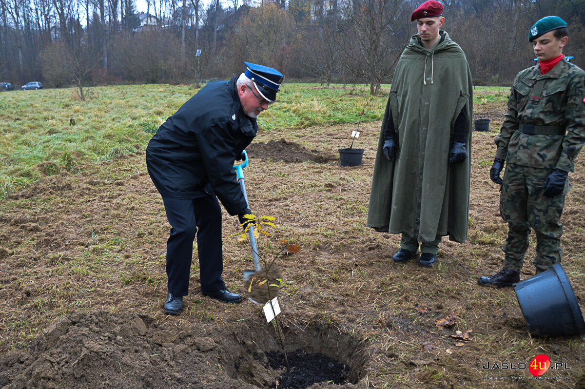 Obchody Narodowego Święta Niepodległości 2025 w Kołaczycach