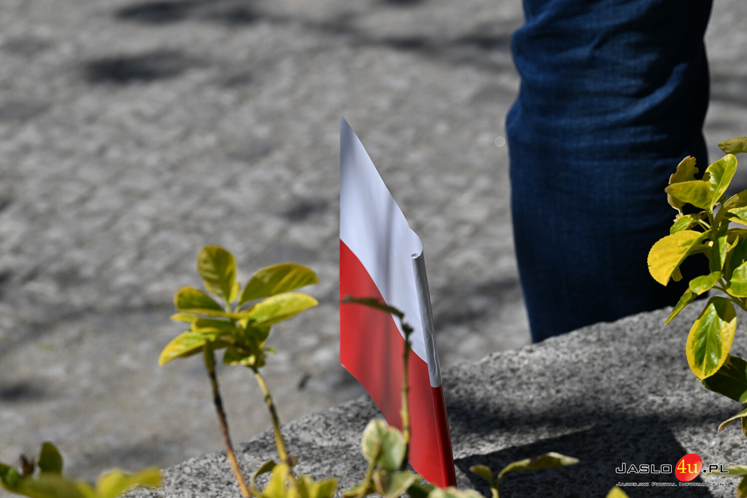 Jasielskie obchody Święta Konstytucji 3 Maja 2026
