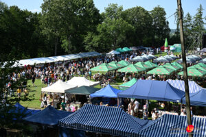 XVI Festiwal - PIEROGI - Tarnowiec 2026