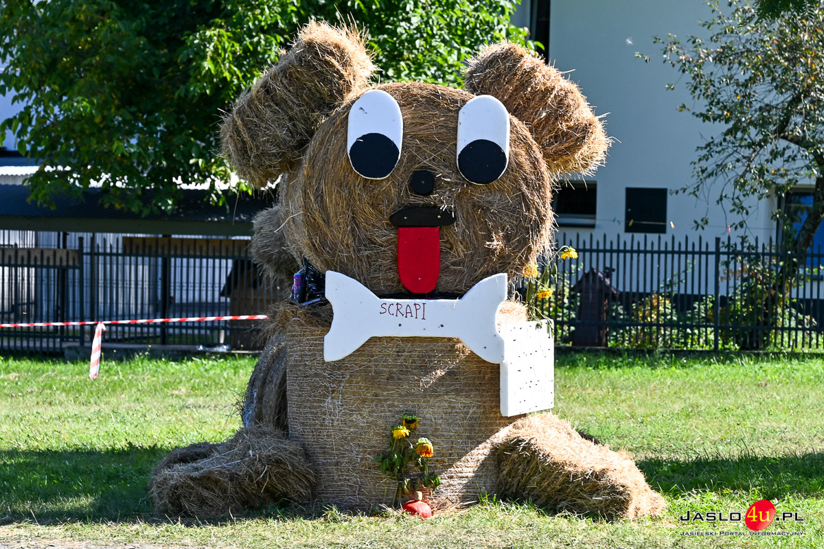 Dożynki Gminy Dębowiec w Cieklinie