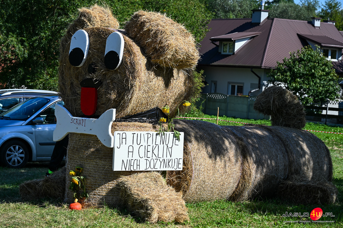 Dożynki Gminy Dębowiec w Cieklinie