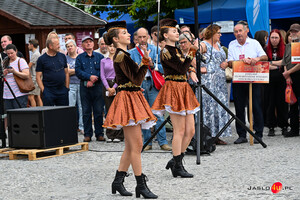 Korowód winiarzy i oficjalne otwarcie Dni Wina