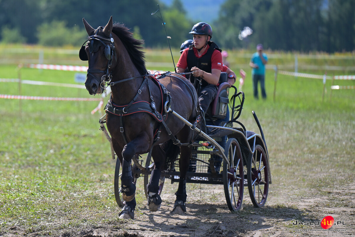 XV Galicyjskie Lato z koniem 2026
