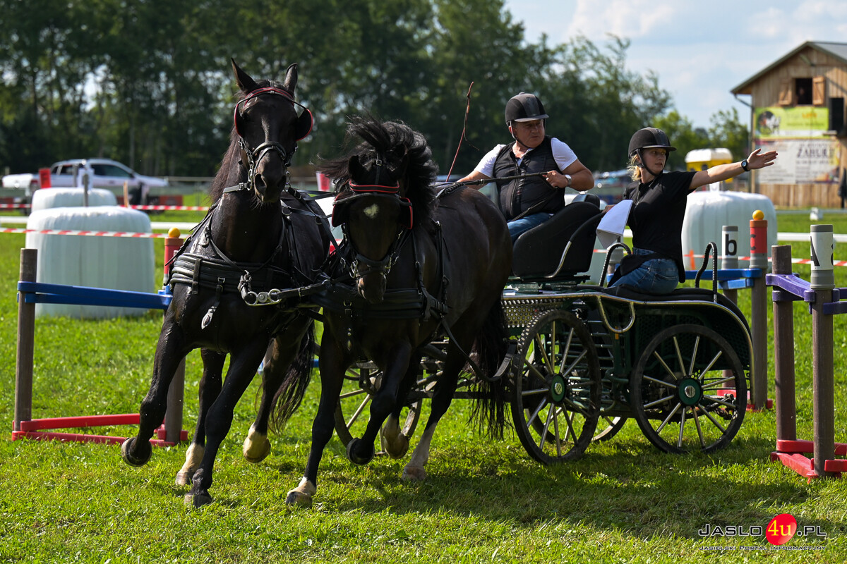 XV Galicyjskie Lato z koniem 2026