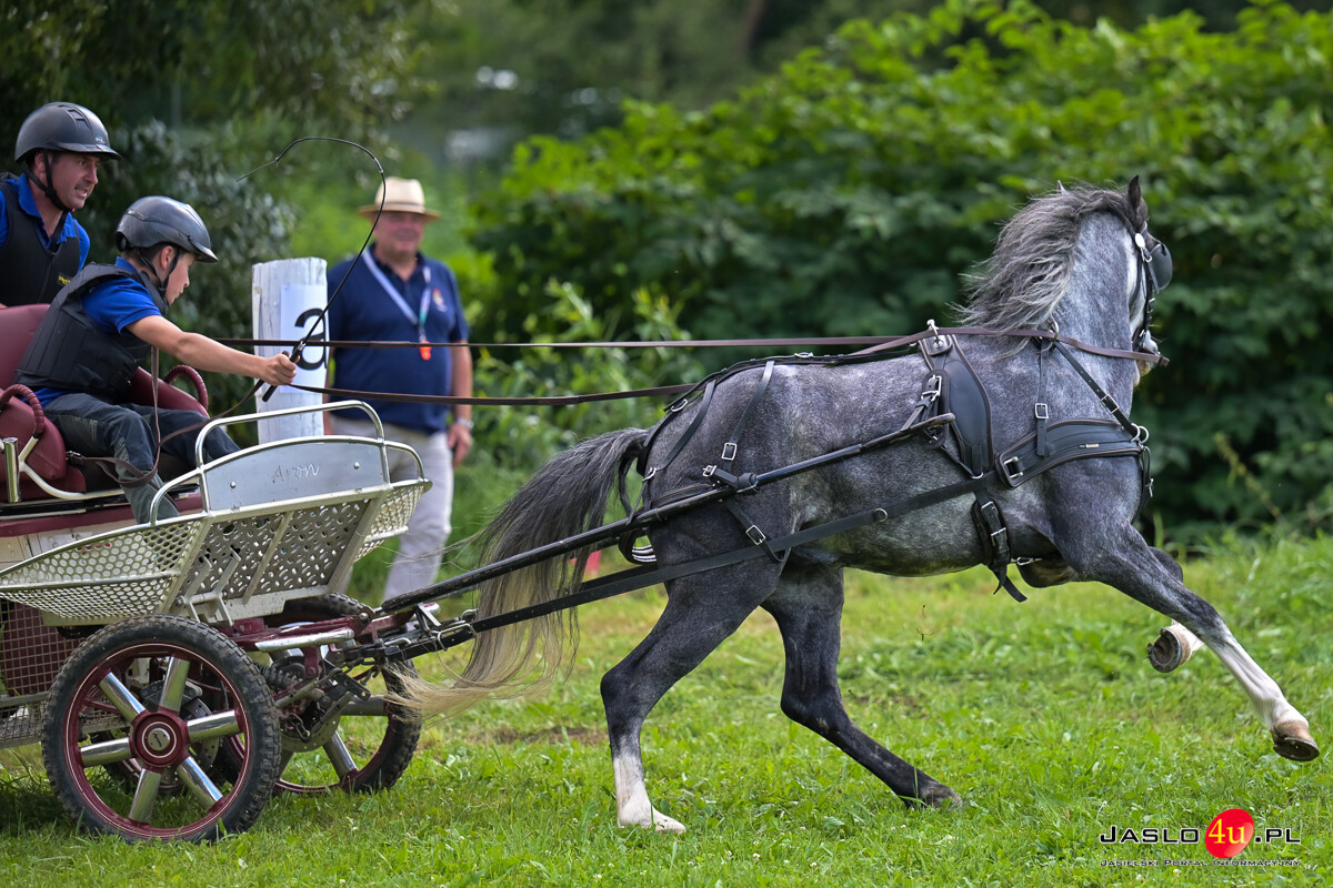 XV Galicyjskie Lato z koniem 2026