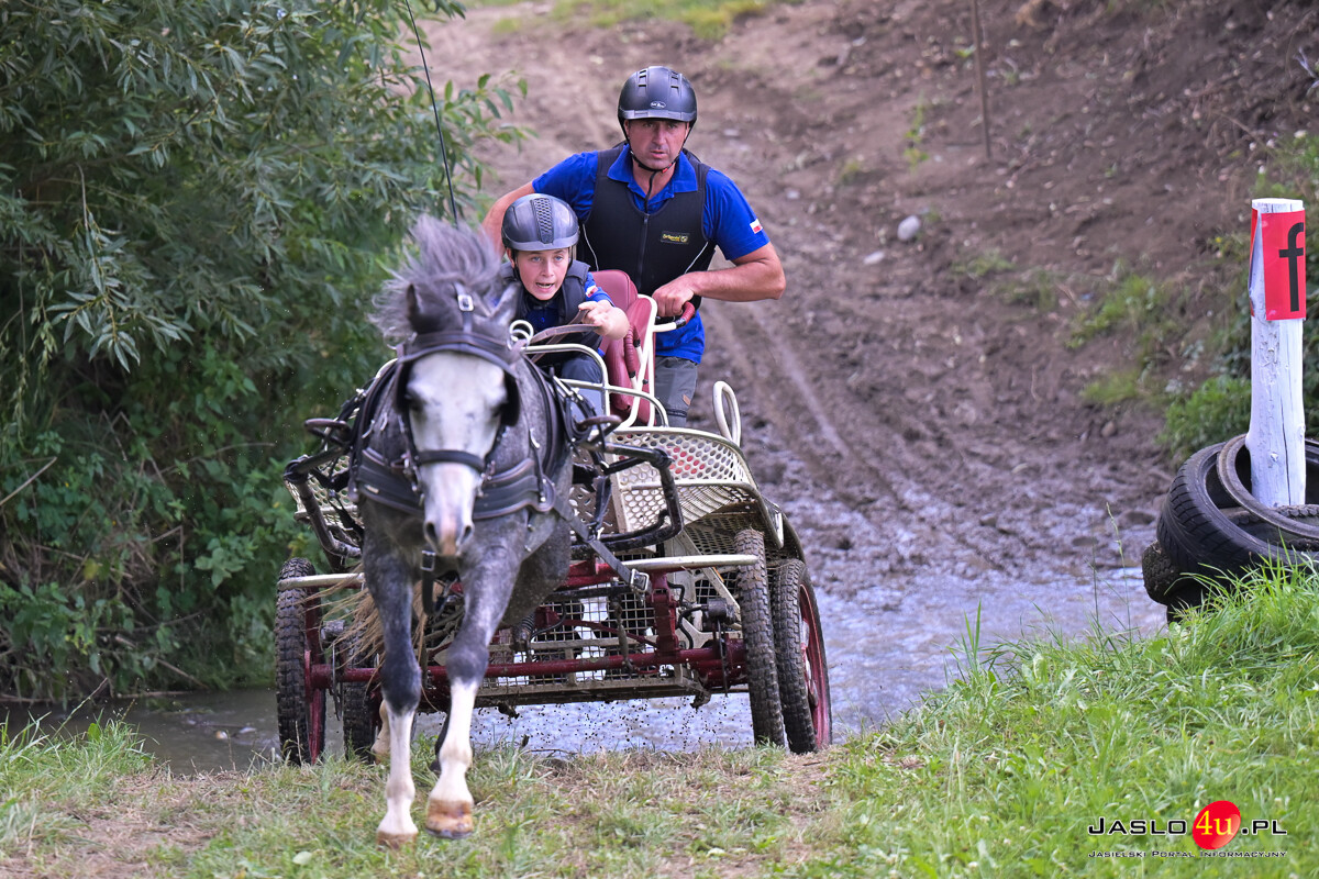 XV Galicyjskie Lato z koniem 2026
