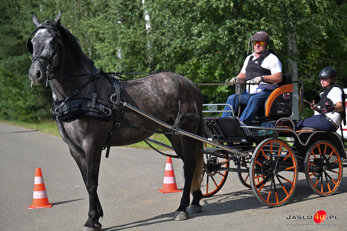 XV Galicyjskie Lato z koniem 2026