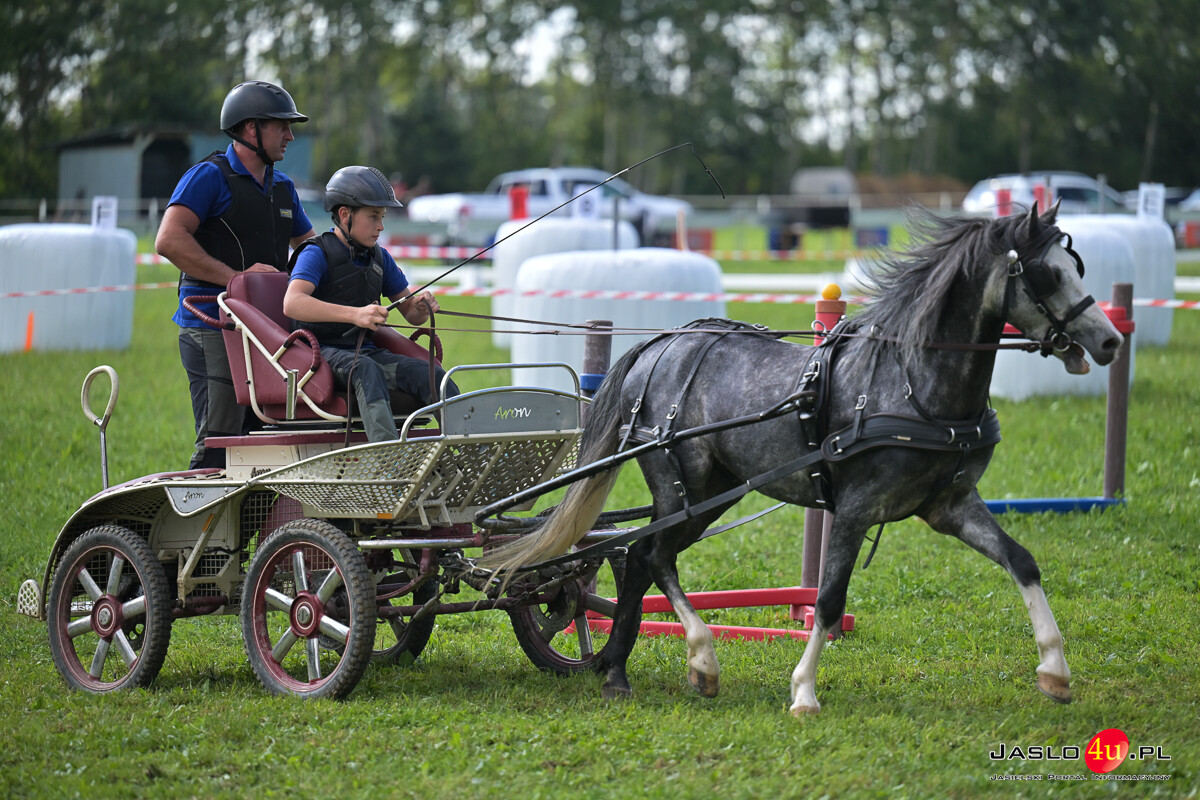 XV Galicyjskie Lato z koniem 2026
