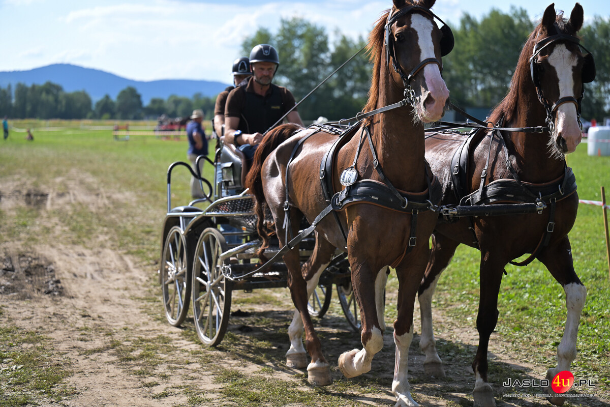 XV Galicyjskie Lato z koniem 2026