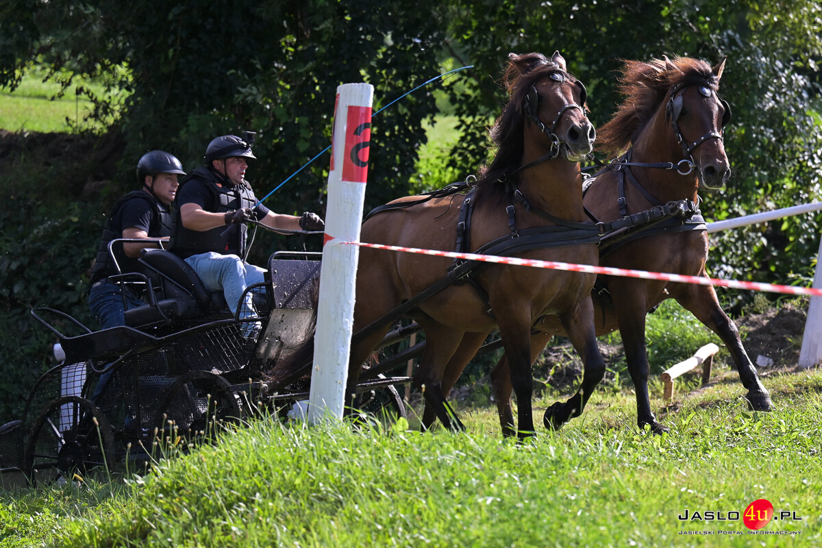 XV Galicyjskie Lato z koniem 2026