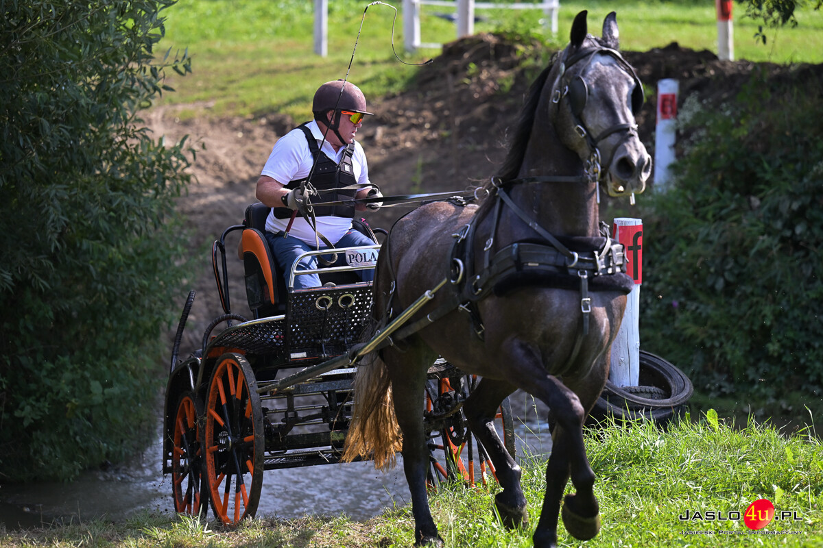 XV Galicyjskie Lato z koniem 2026