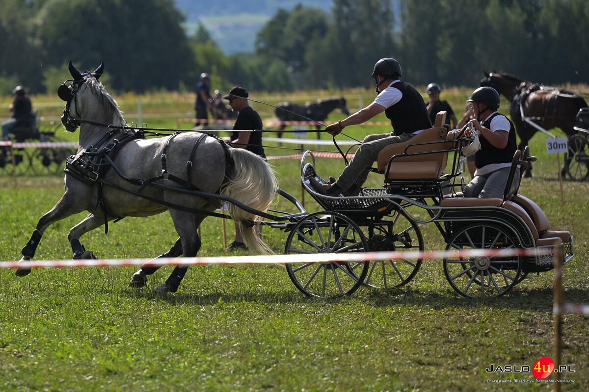XV Galicyjskie Lato z koniem 2026