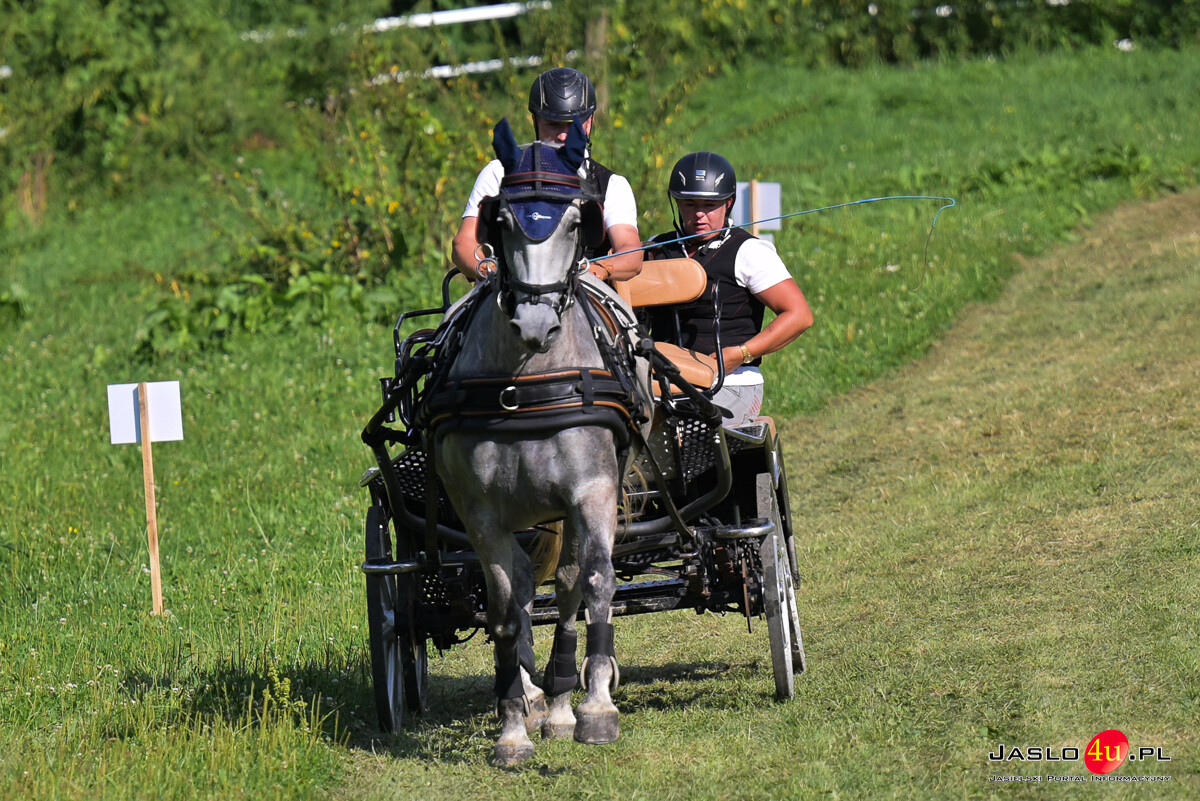 XV Galicyjskie Lato z koniem 2026
