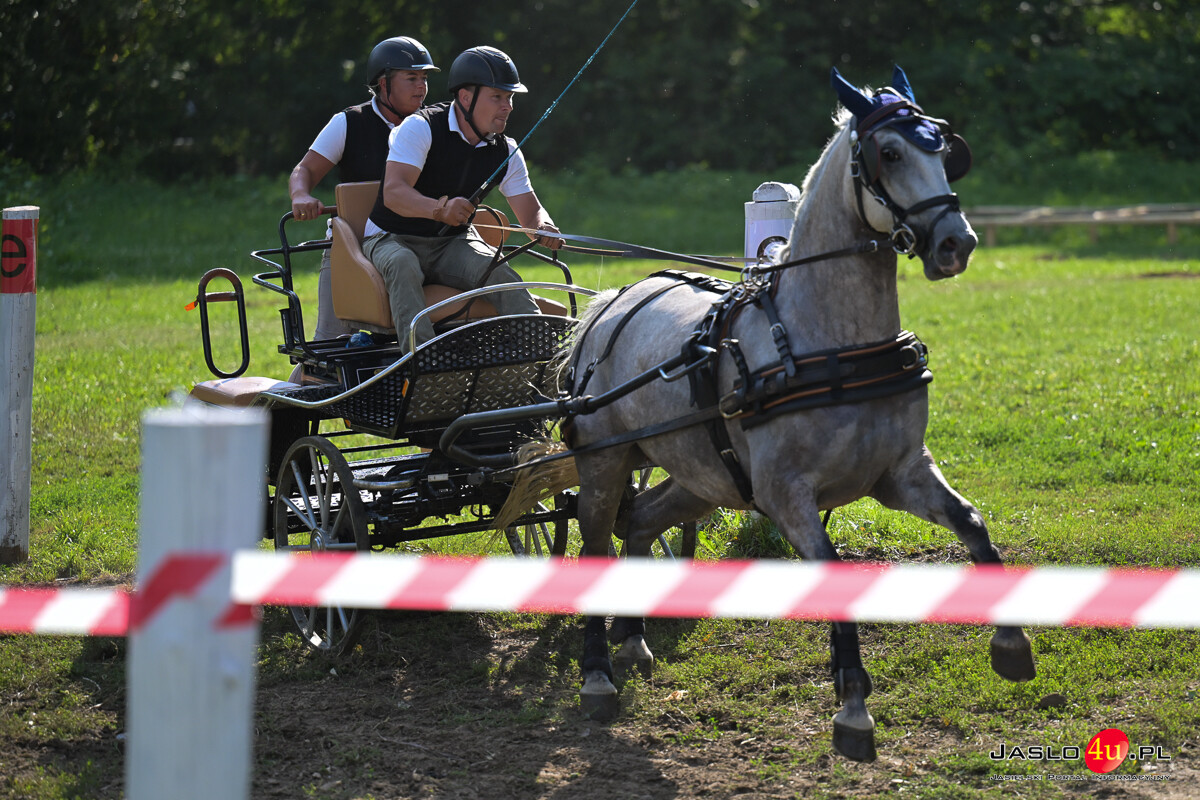 XV Galicyjskie Lato z koniem 2026