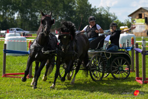 XV Galicyjskie Lato z koniem 2026